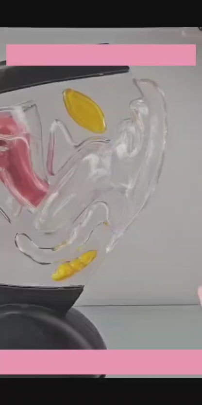 Se Amante De Tu Periodo | Paquete De Disco Menstrual Con Tirilla Grande